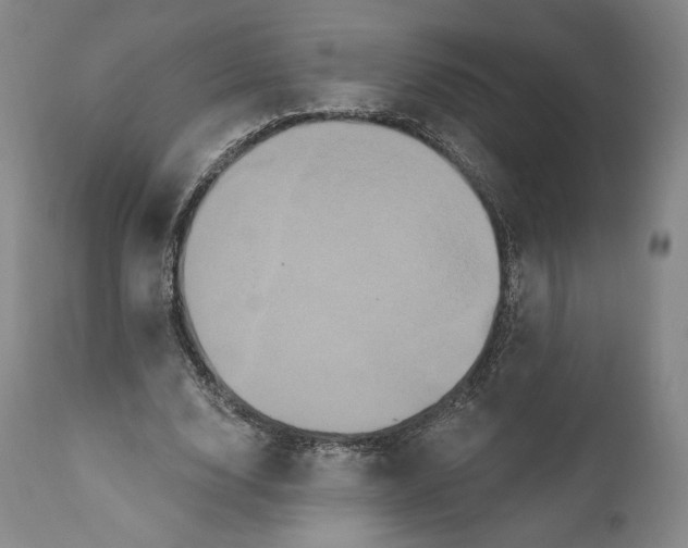 X0000111020632200907101340