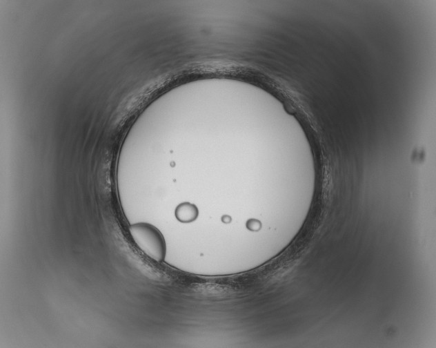 X0000111020633200907101340