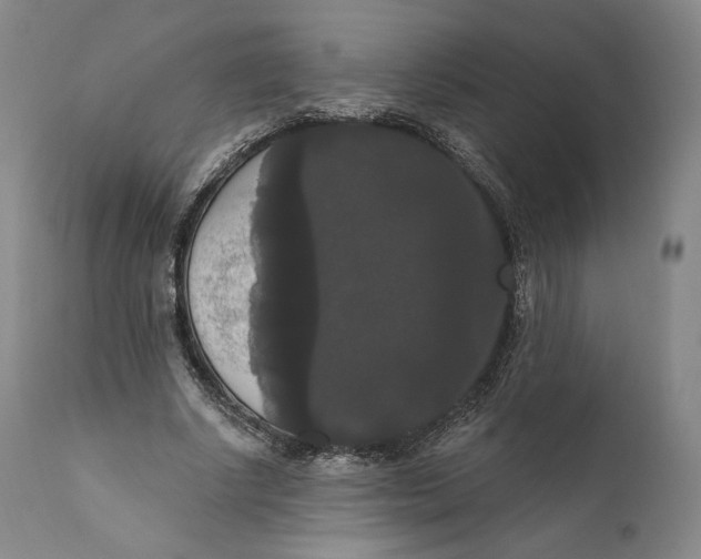 X0000111020634200907101340