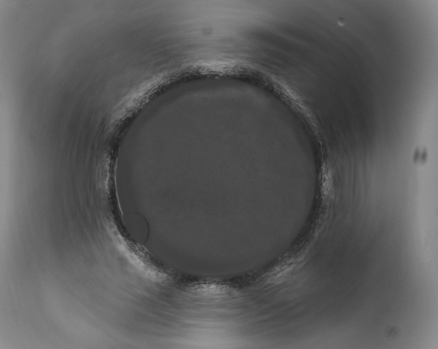 X0000111020637200907101340