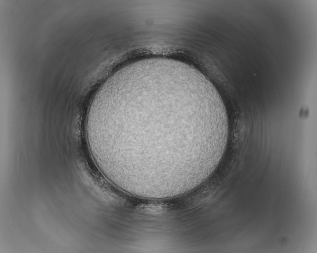X0000111020639200907101340