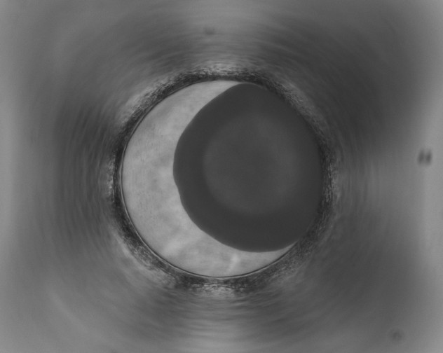 X0000111020640200907101340