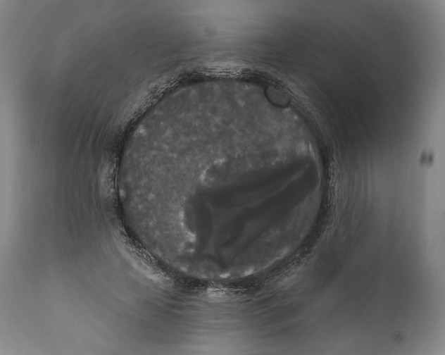 X0000111020641200907101340