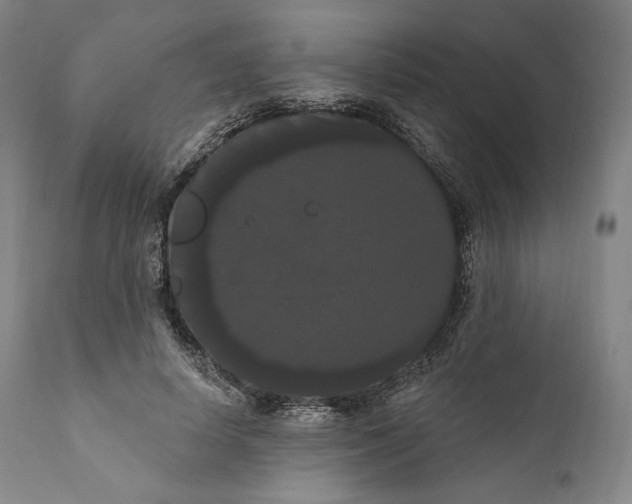X0000111020642200907101340