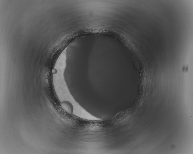 X0000111020643200907101340