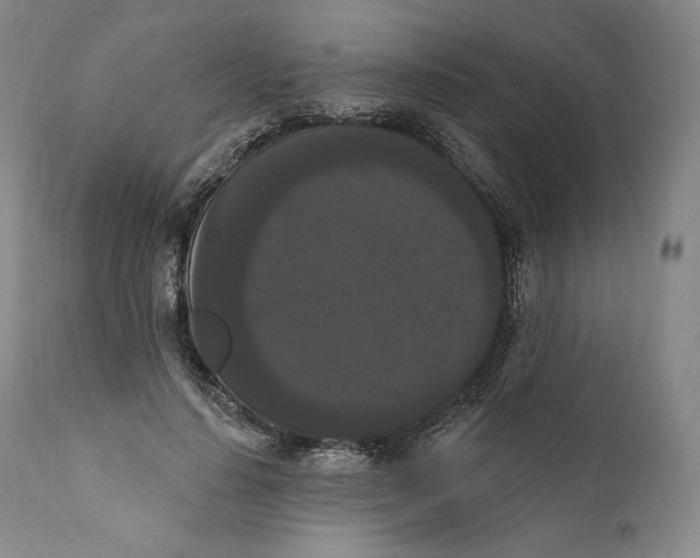 X0000111020644200907101340