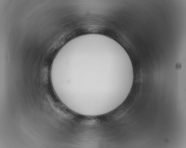 X0000111020646200907101340