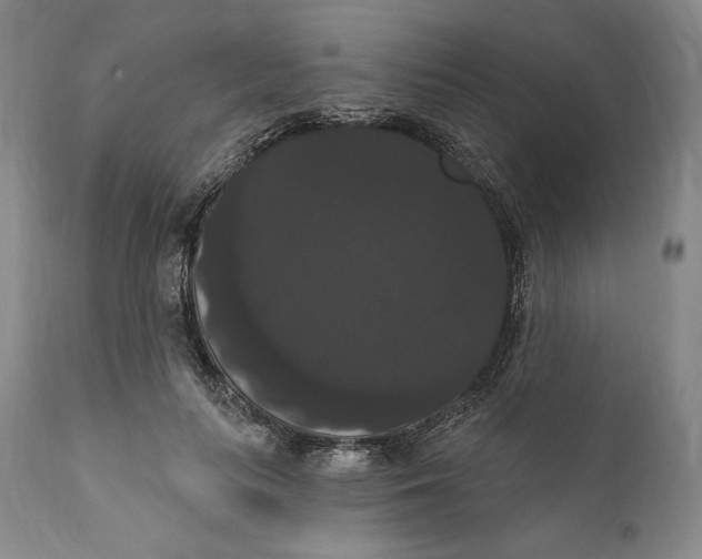 X0000111020647200907101340