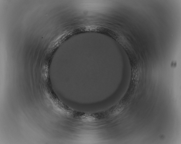 X0000111020648200907101340