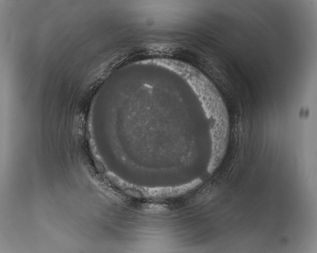 X0000111020649200907101340