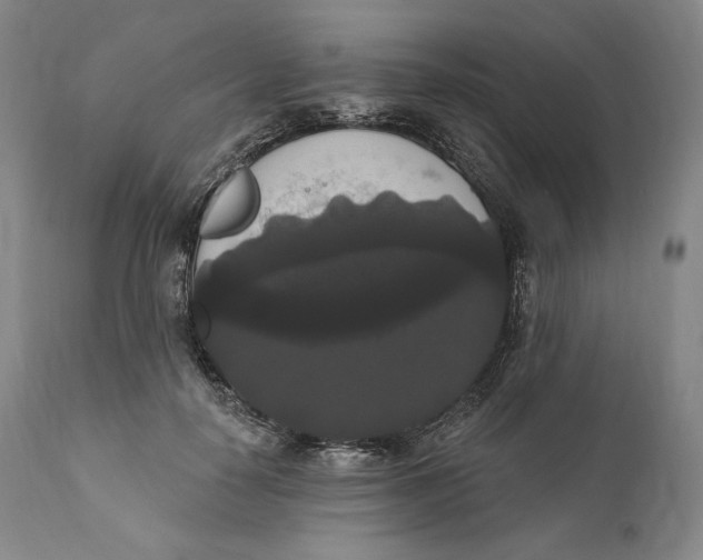X0000111020650200907101340