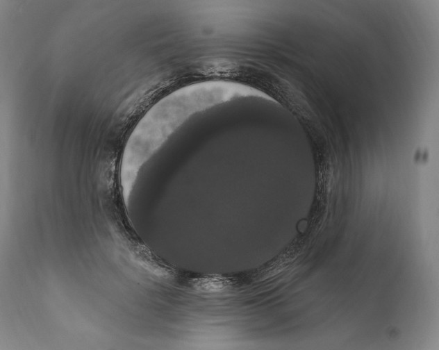 X0000111020652200907101340