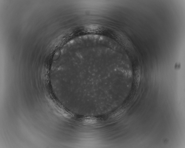 X0000111020653200907101341