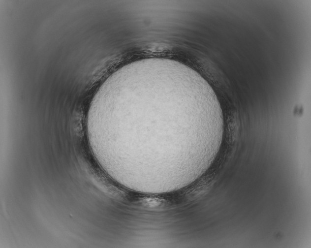 X0000111020654200907101341
