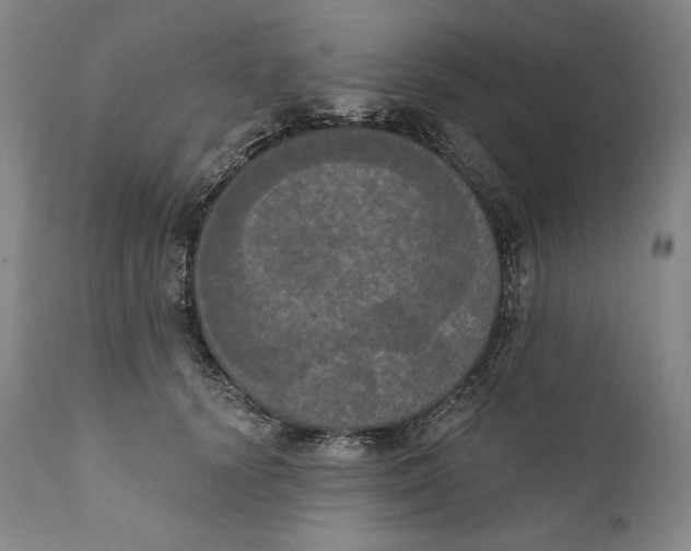 X0000111020656200907101341