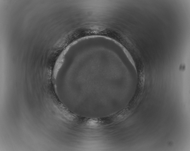X0000111020657200907101341