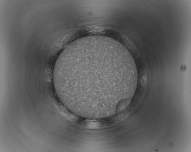 X0000111020658200907101341