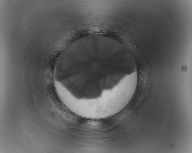 X0000111020659200907101341