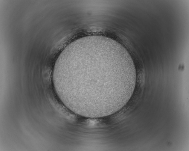 X0000111020662200907101341