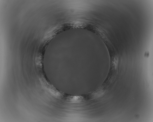 X0000111020663200907101341
