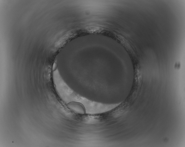 X0000111020664200907101341