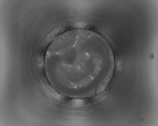 X0000111020665200907101341