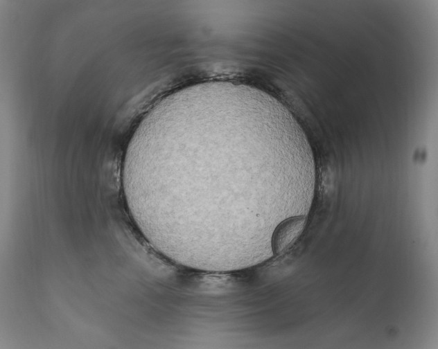 X0000111020666200907101341