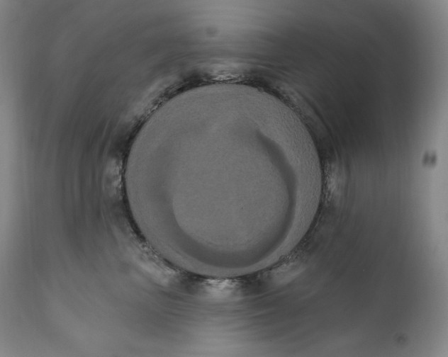 X0000111020667200907101341
