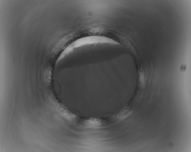 X0000111020668200907101341