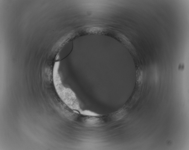 X0000111020669200907101341
