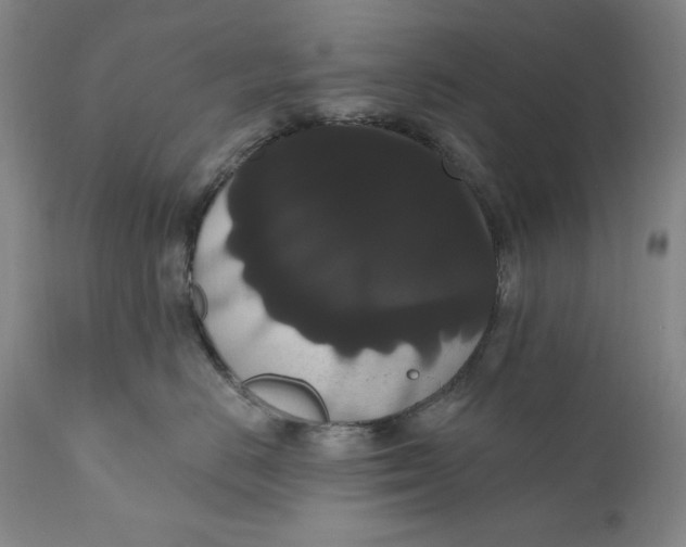 X0000111020670200907101341