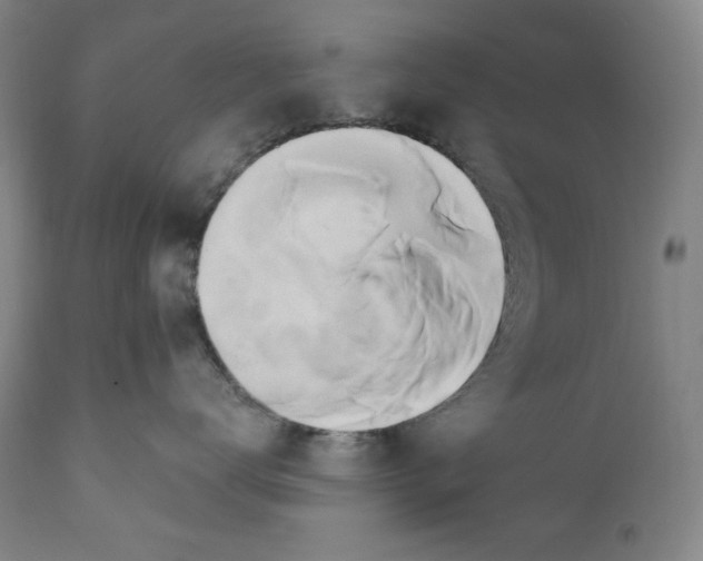 X0000111020672200907101341