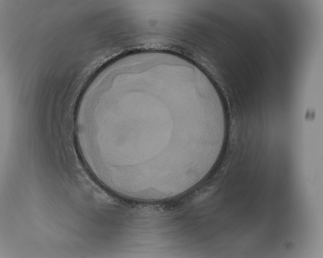 X0000111020673200907101340