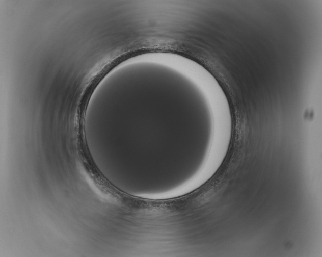 X0000111020674200907101340