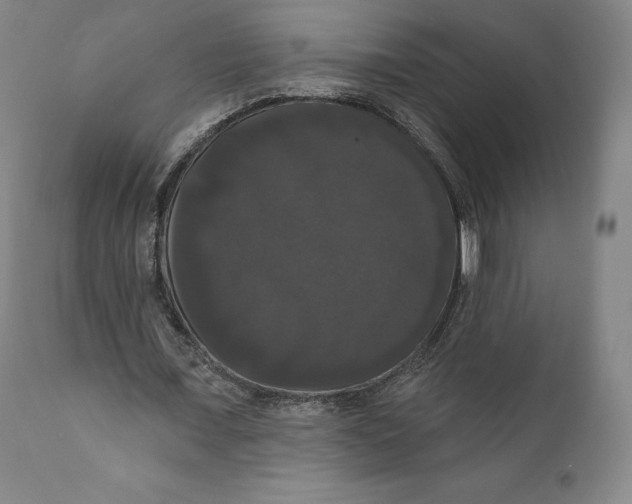 X0000111020675200907101340