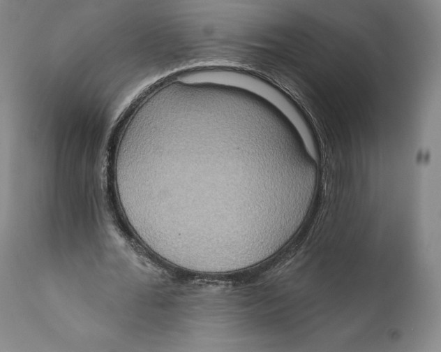 X0000111020676200907101340