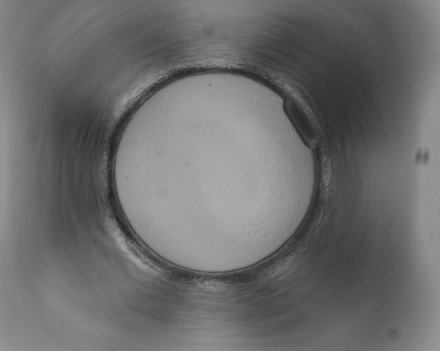 X0000111020677200907101340