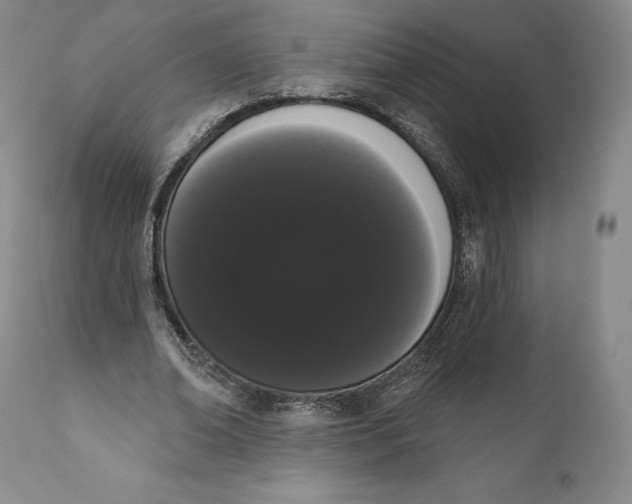 X0000111020678200907101340