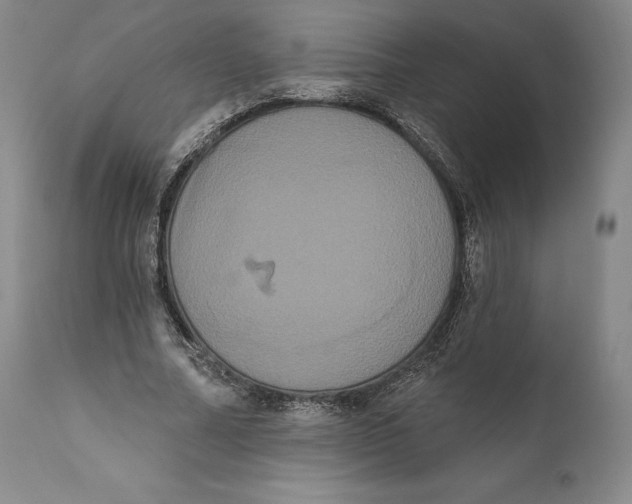 X0000111020682200907101340
