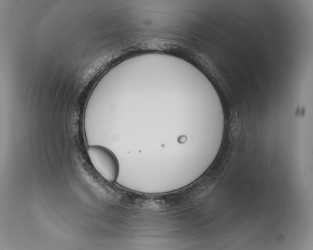X0000111020683200907101340