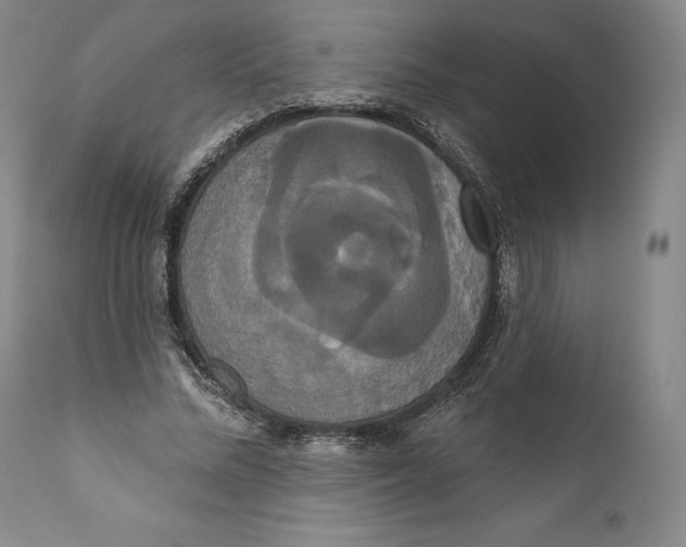 X0000111020684200907101340