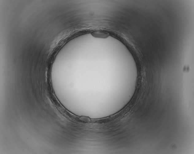 X0000111020685200907101340