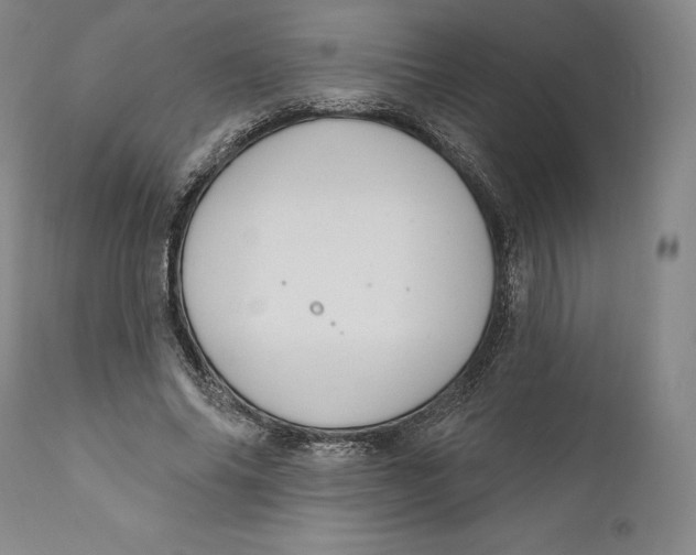 X0000111020686200907101340