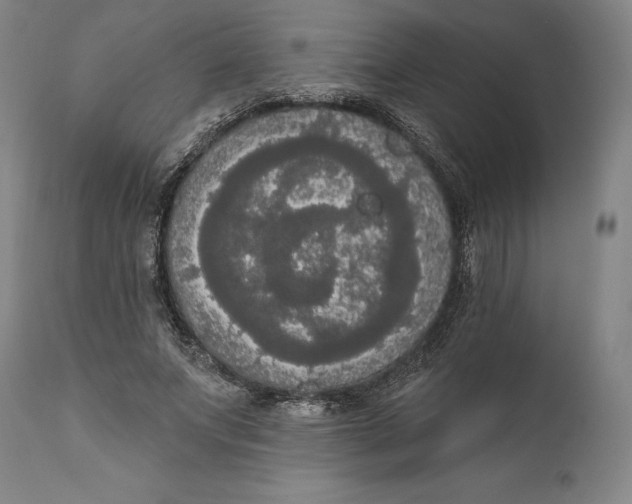X0000111020687200907101340
