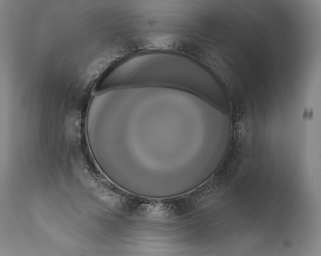 X0000111020688200907101340