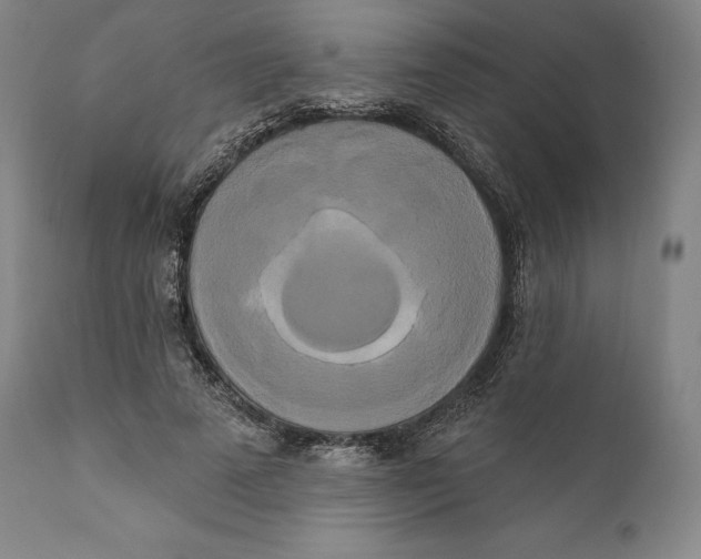 X0000111020689200907101340