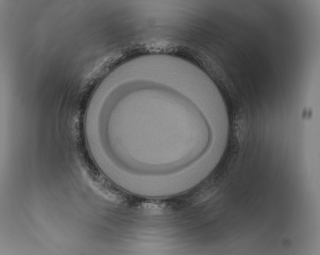 X0000111020690200907101340