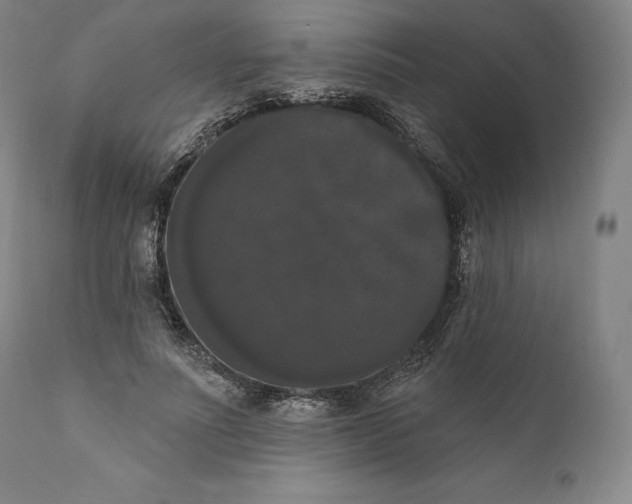 X0000111020691200907101340