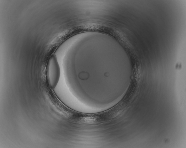 X0000111020692200907101340