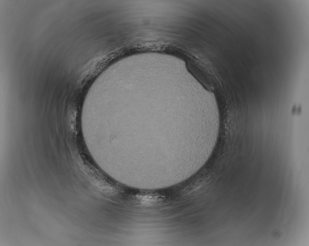 X0000111020693200907101340